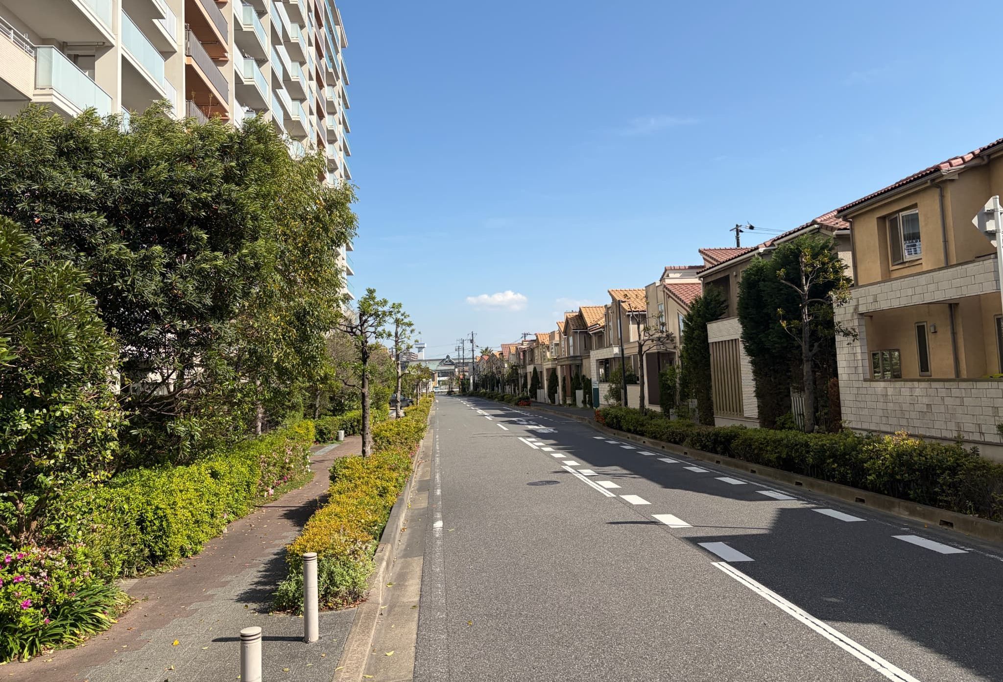 道路設計